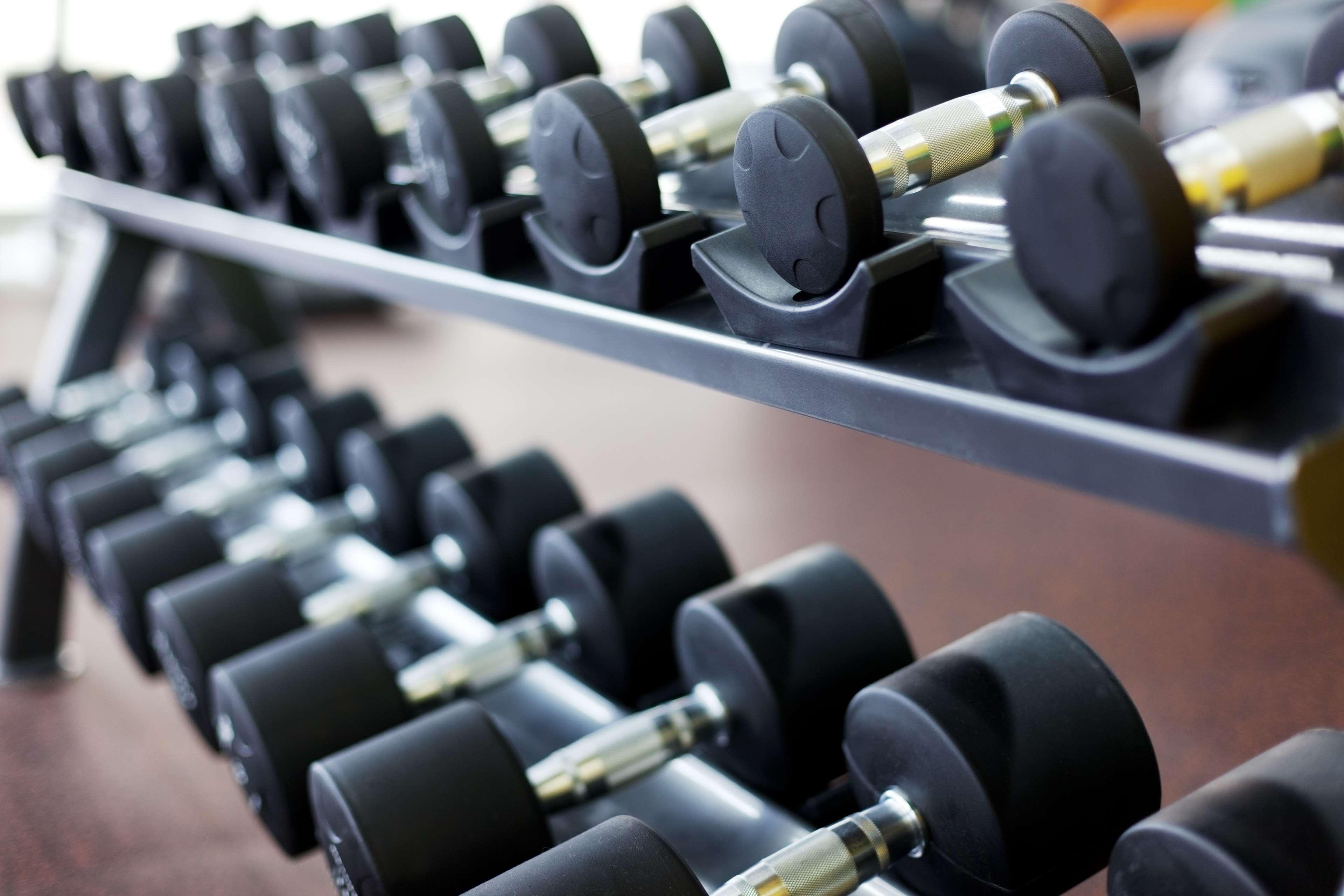 Ayla Grand Hotel al-Ain Exterior foto Dumbbells on a rack